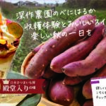 【イベント情報】深作農園　さつまいも掘り体験＆さつまいもスイーツ