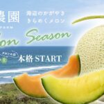 深作農園のメロンスイーツが「スーパーJチャンネル」に登場します